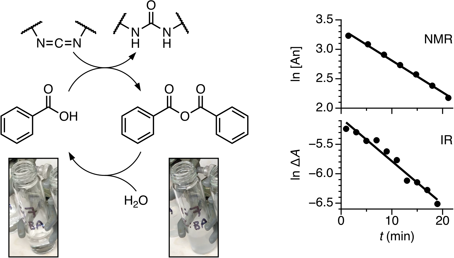 Table of contents figure for article "Observing the Transient Assembly and Disassembly of Carboxylic Anhydrides in the Organic Chemistry Laboratory" showing the formation and decomposition of benzoic anhydride and sample NMR and IR results.