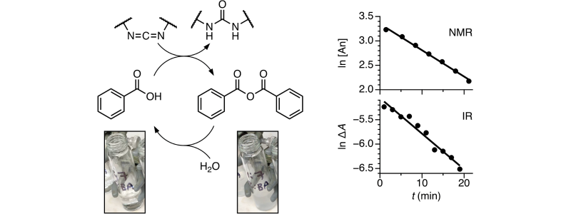 Table of contents figure for article "Observing the Transient Assembly and Disassembly of Carboxylic Anhydrides in the Organic Chemistry Laboratory" showing the formation and decomposition of benzoic anhydride and sample NMR and IR results.