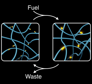 Table of Contents figure for "Autonomous changes in polymer materials driven by chemical fuels"