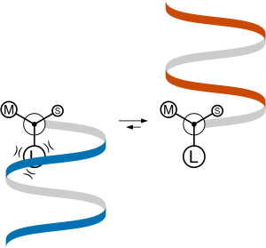 Cartoon depiction of chiral induction for helical foldamers. Shows a chirality center with large, medium, and small groups, drawn as a Newman projection, that experiences steric clashes with a helical ribbon.